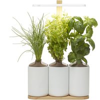 Lilo Connect Indoor-Garten weiß