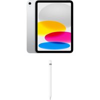 iPad (64GB) WiFi silber inkl. Apple Pencil 1. Generation