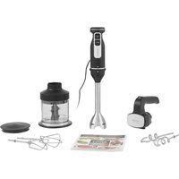 CI100EU Stabmixer