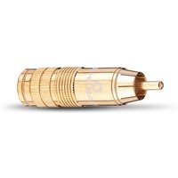 CJG 66 Cinch-Stecker (4 Stk.) gold