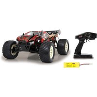 Brecter Truccy 4WD NiMh (1:10) RC Auto