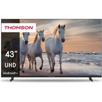 43UA5S13 109 cm (43") LCD-TV mit LED-Technik schwarz / F