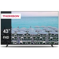 43FD2S13 109 cm (43") LCD-TV mit LED-Technik schwarz / E