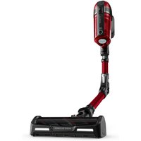 RH98A9 X-Force Flex 12.60 Animal Stielstaubsauger