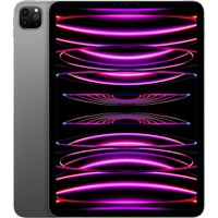 iPad Pro 11" (128GB) WiFi 4. Generation (2022) space grau