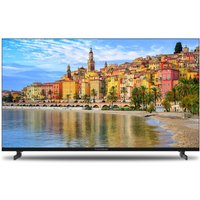 40FG2S14 101 cm (40") LCD-TV mit LED-Technik schwarz