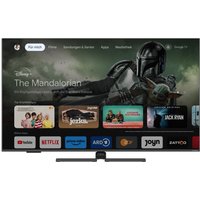 65 CQA 8490 London 164 cm (65") QLED-TV anthrazit