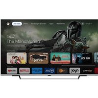 55 EUD 555 139 cm (55") LCD-TV mit LED-Technik silber