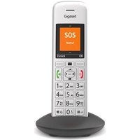 E390HX Schnurloses IP-Telefon silber