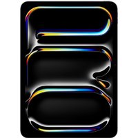 iPad Pro 11" (256GB) WiFi space schwarz