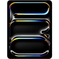 iPad Pro 13" (256GB) WiFi + 5G space schwarz