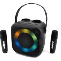 BT2024SW PA-Lautsprecher schwarz