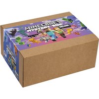 Minecraft Mystery Deluxe Box