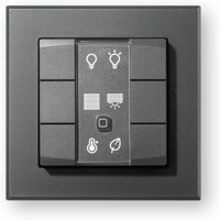 Wandtaster 6-fach anthrazit