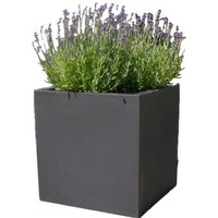 Botanic 50-2c /Stück Lautsprecher anthrazit