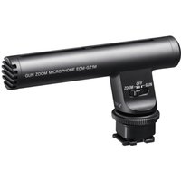 ECMGZ1M Zoom-Mikrofon